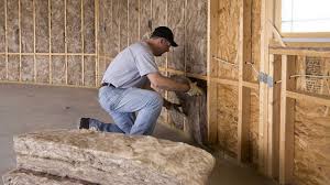 Trusted Appleton, WI Insulation Services Experts